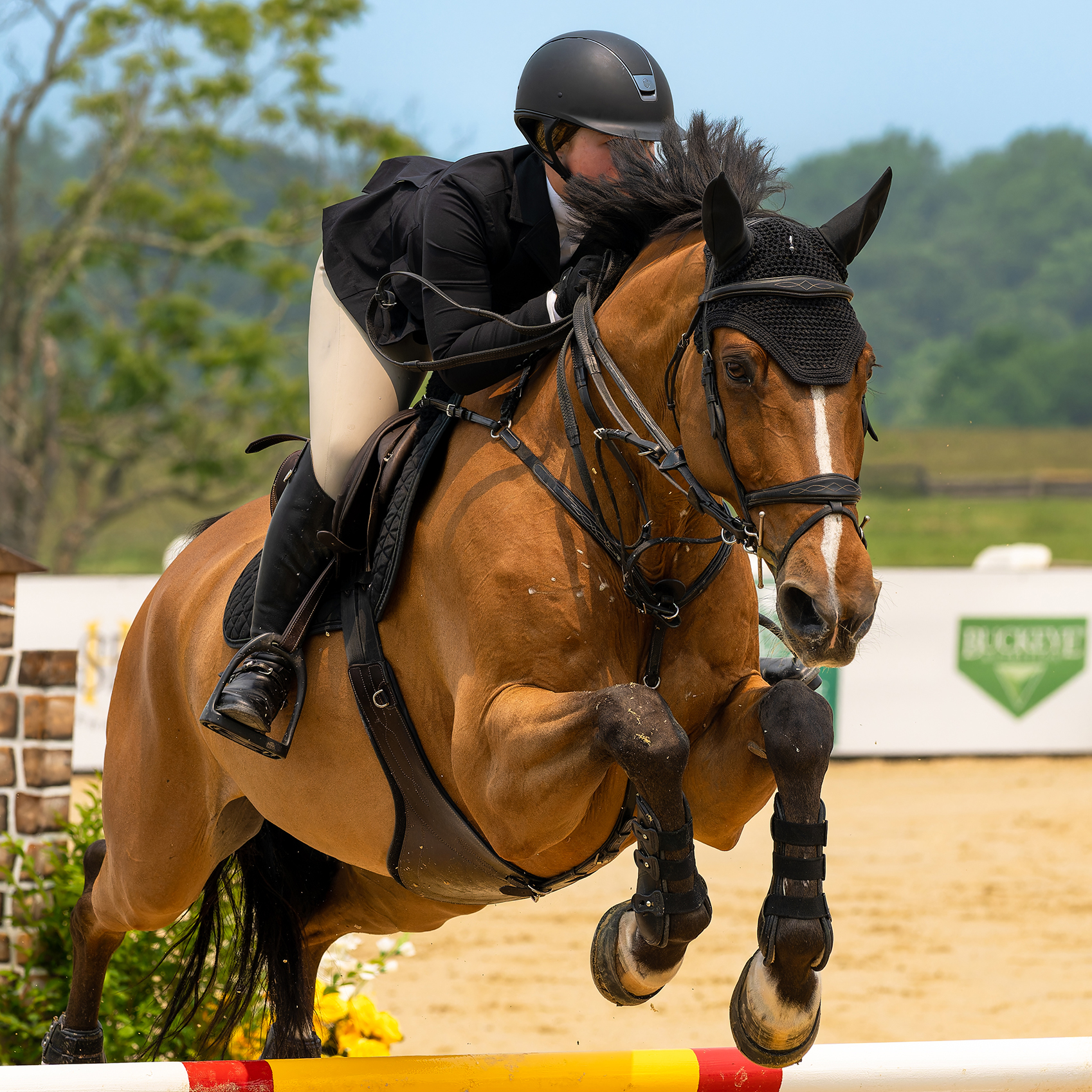 Equestrian
